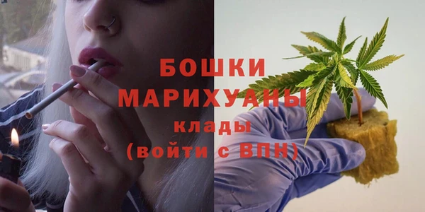 прущие грибы Арсеньев