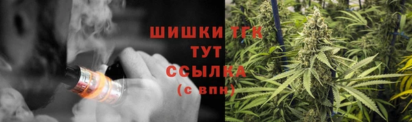 дживик Армянск