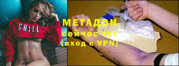 прущие грибы Арсеньев