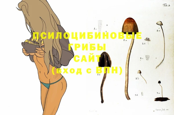прущие грибы Арсеньев