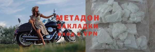 прущие грибы Арсеньев