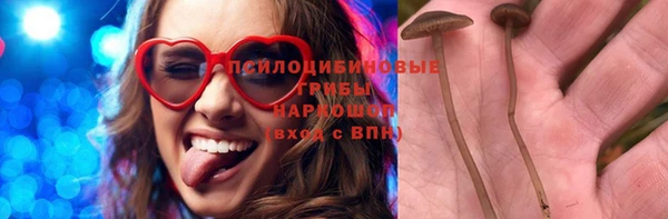 дживик Армянск