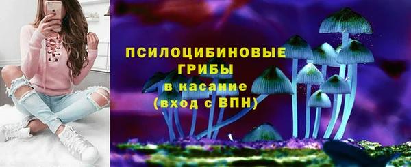 дмт Аркадак